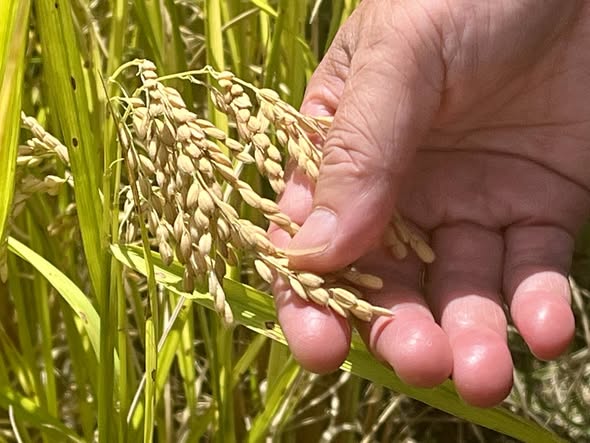 484545452_1051779260311659_5578289493094090014_n