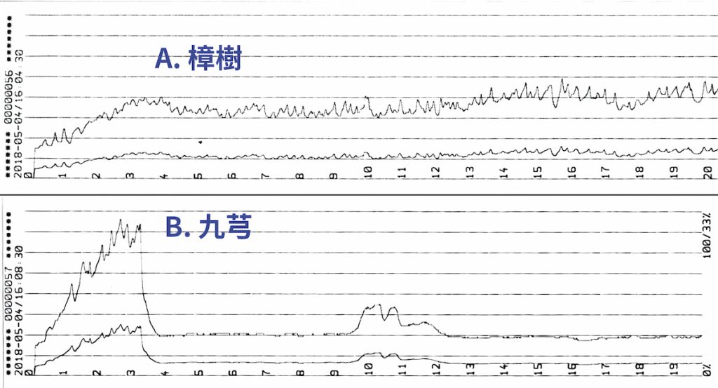 兩株樹的阻抗儀檢測結果比較，可見九芎深入4公分以後為空洞。