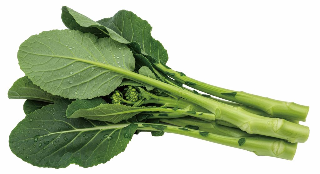 芥藍是一～二年生的草本植物，依葉片形狀不同，常分為尖葉種與圓葉種。（攝影╱Leon on adobe stock 1666424835） 