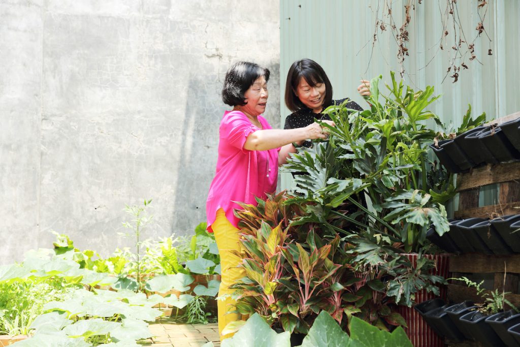 綠色照護站將農業結合照護，例如種植蔬菜、花草或多肉植物，讓長者有更多機會活動，達到療育效果。（攝影／王士豪）