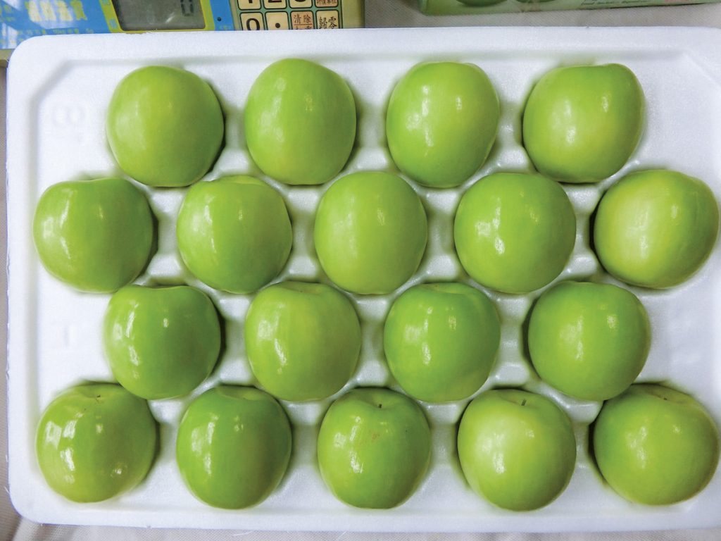 台農13號－雪麗，溫室設施栽培禮盒包裝之果實外觀頗具賣相。