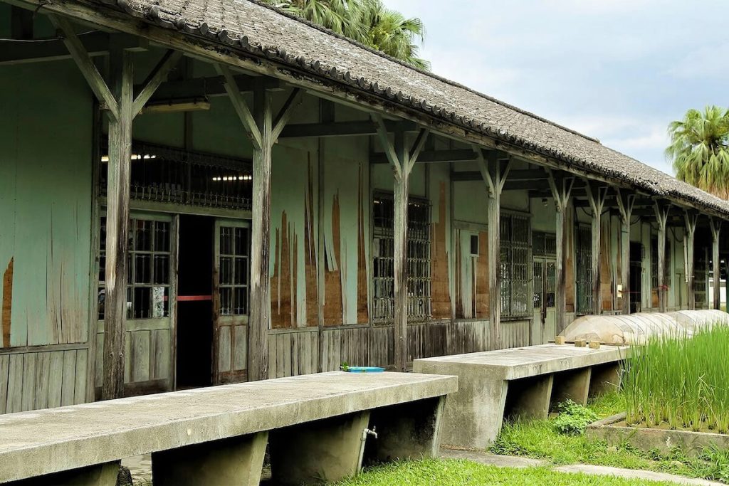 位於國立臺灣大學的磯小屋,是昔日磯永吉進行稻米研究的重要據點,也啟發任永旭投入蓬萊米歷史品種栽培。(圖片提供/邱璟綾)