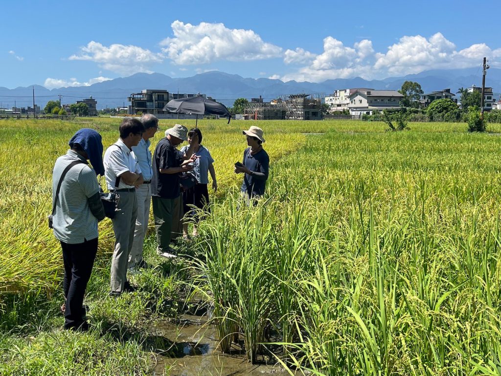 日本「岡山縣酒造好適米協議會」致力於推廣雄町米,當地栽培雄町的農家也曾到任永旭的田區參訪、交流。(圖片提供/任永旭)