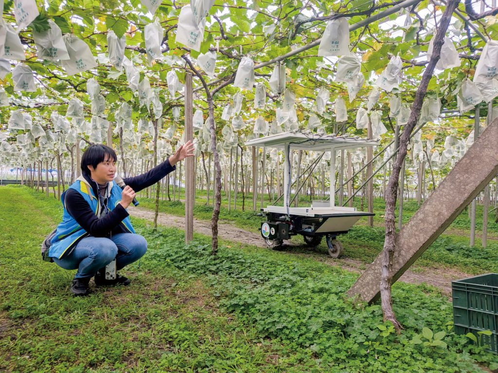 臺中農改場解說植物害物燈罩抑制系統的操作原理與效果。