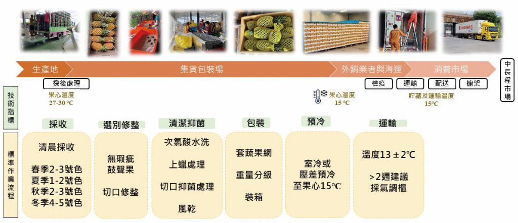 圖片提供╱國立臺灣大學園藝暨景觀學系 圖表重製╱林佳瑩