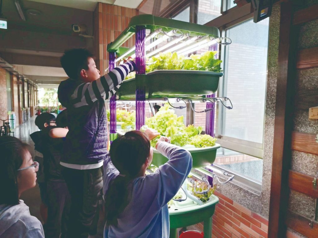 南勢國小的孩子動手設計太陽能發電，提供給漁菜共生系統的照明。（圖片提供／方淑儀）