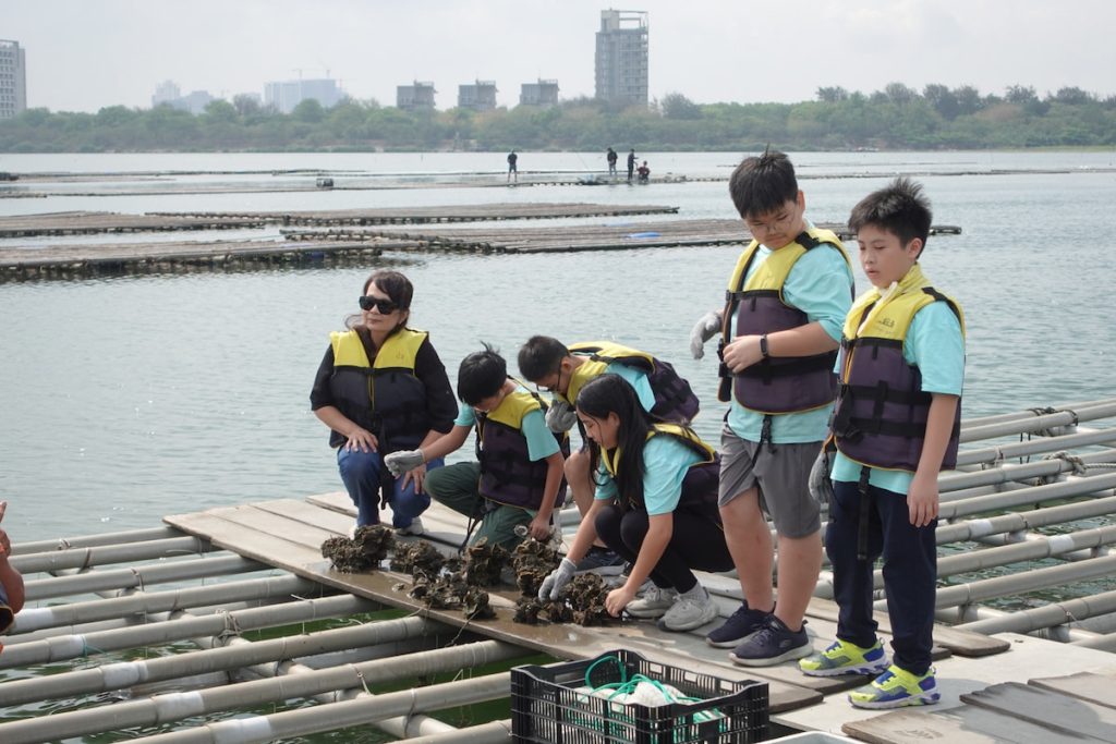 西門國小老師會帶學生到鄰近的台江國家公園觀察牡蠣養殖生態。（圖片提供／西門國小）