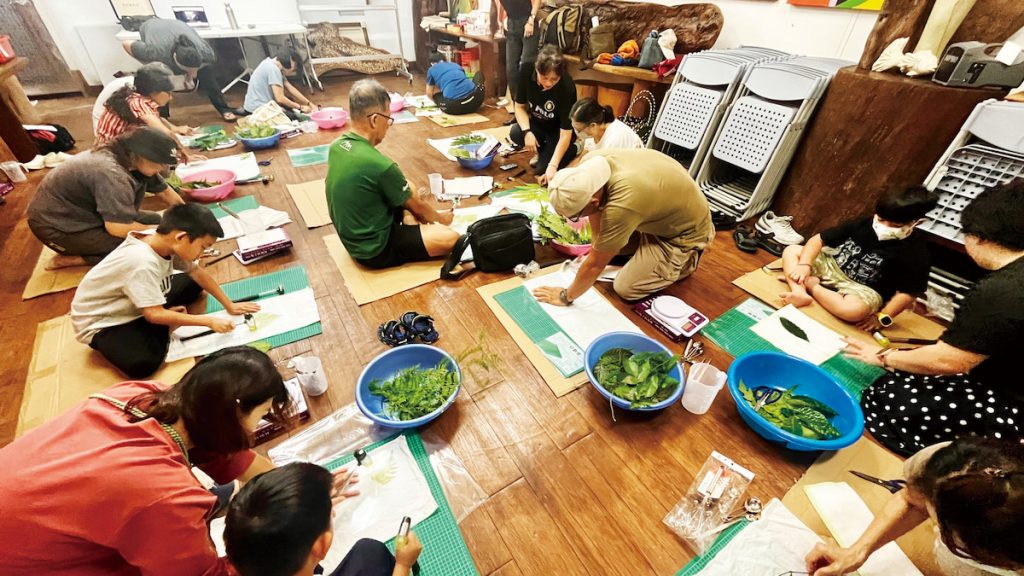 花蓮農改場協助部落屋開設部落植物敲拓染研習課程。