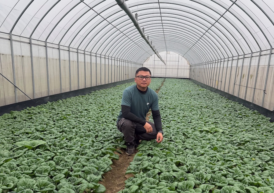 桃園青農王正堯因穩定供應學校午餐有機蔬菜，種植面積成長3倍（圖片提供／王正堯）