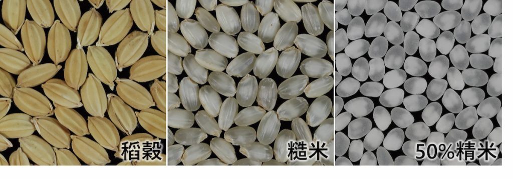 臺南21號米粒大，更適合釀造清酒前置的精米作業。