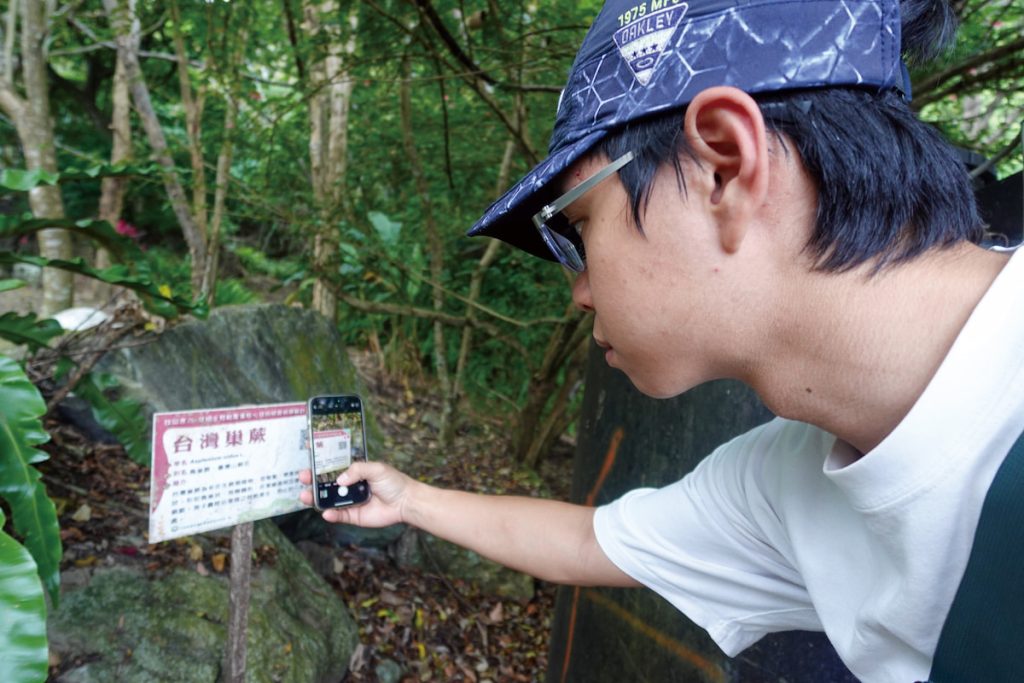 花蓮農改場輔導設置之植物查詢 QR Code，已成為遊客熱門查詢管道。