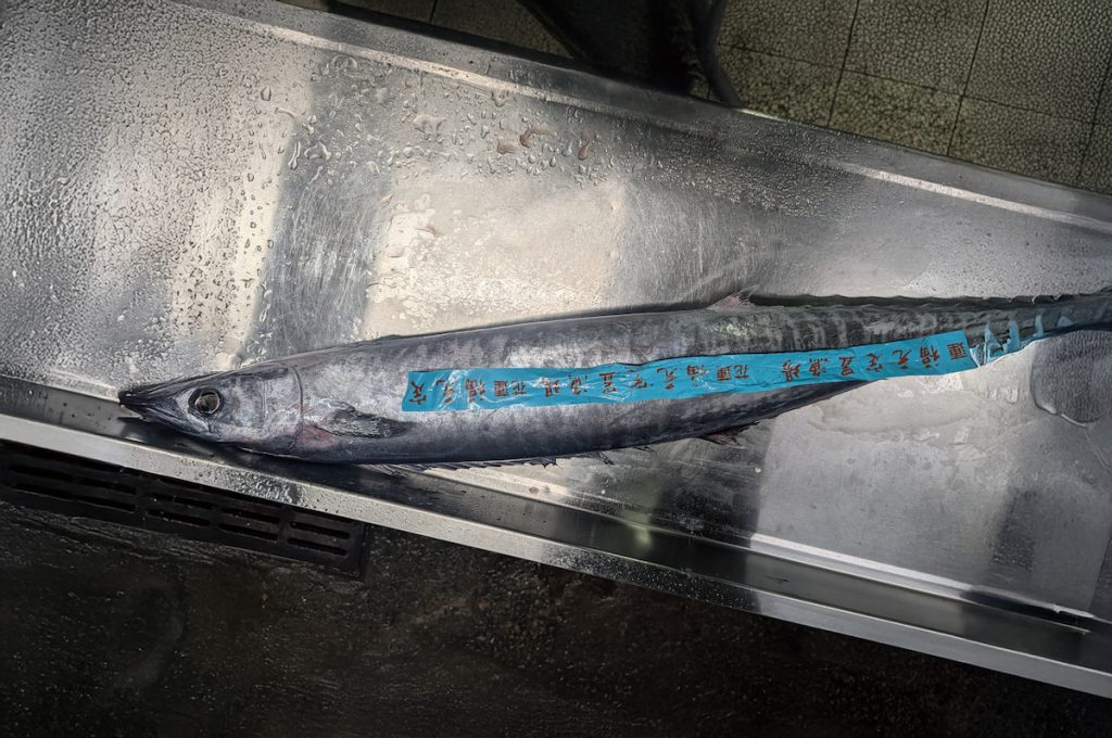 石橋魚採購自合作的定置漁場。