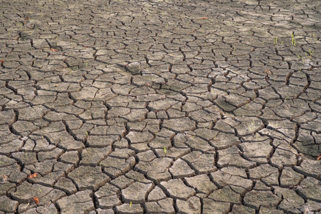 土壤退化、有機質流失將加速碳排放。（照片來源╱Adobe Stock）