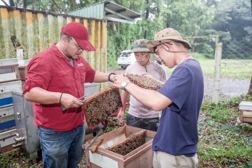 林業發展除了供應木材，也需兼顧林下經濟。（攝影╱王冠傑）