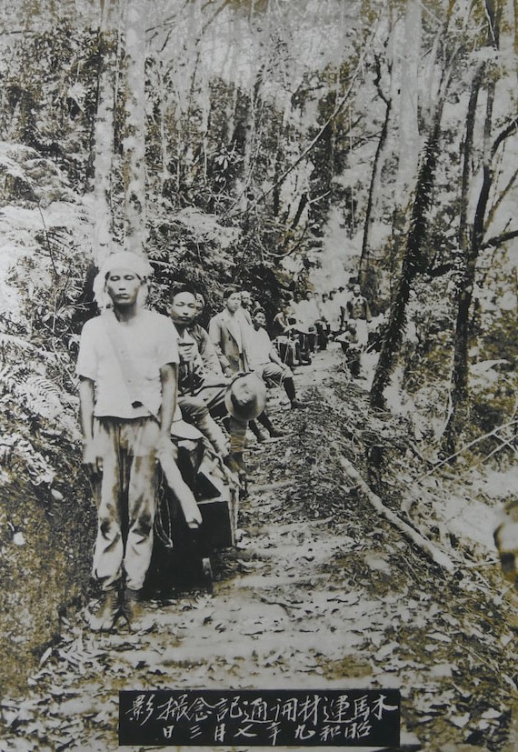 山徑上鋪圓木,讓木馬滑行降低摩擦力,稱為「木馬道」。(彭老師野薑花粽提供)