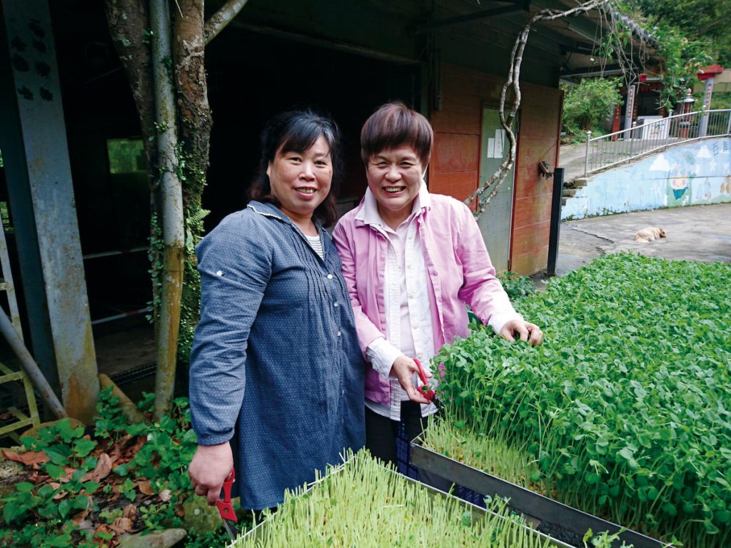 喻碧芳與百壽有機芽菜農場女主人呂秀帆。