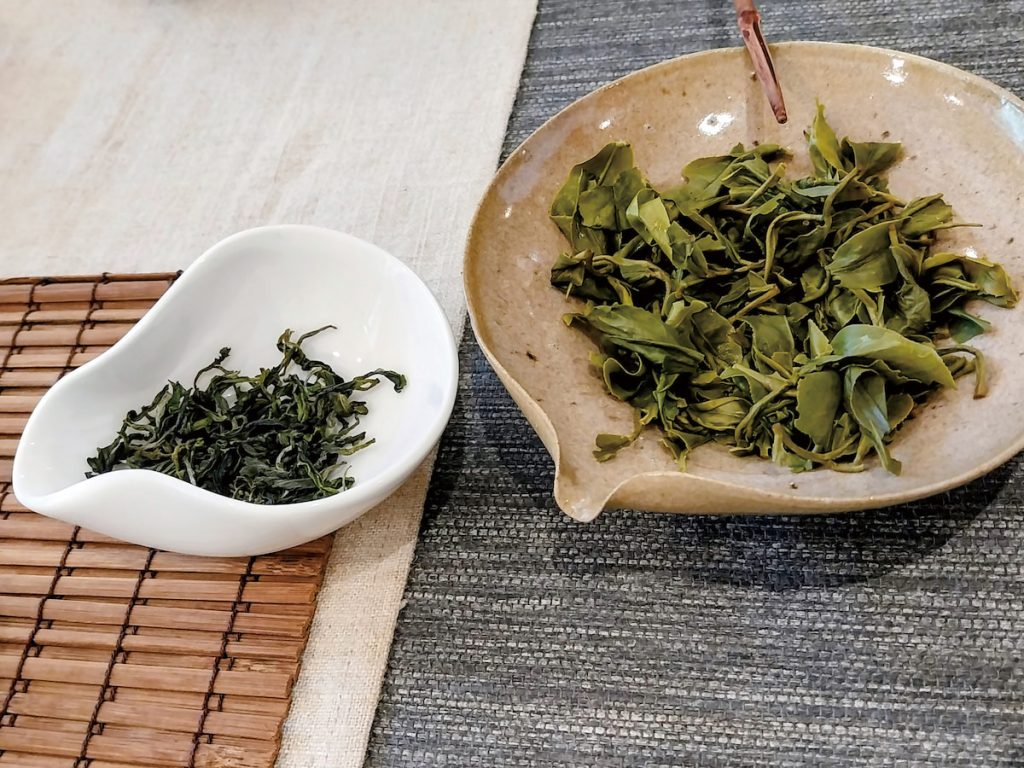 茶主人分享觀賞茶乾與葉底的細節。