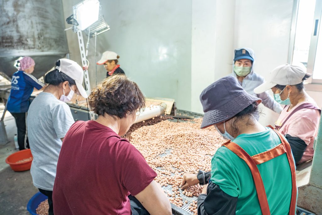 阿嬤們一雙雙佈滿皺紋的手是最嚴格的品管。