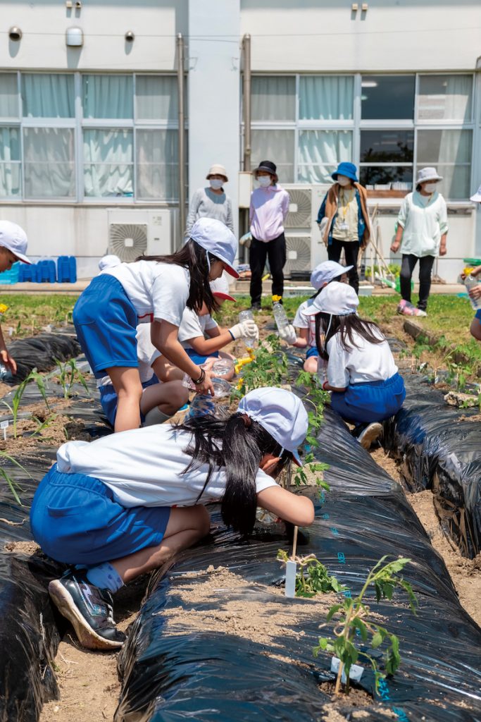 孩子認真照顧校園裡的小農場。