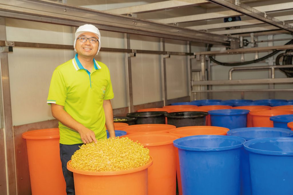宏昇芽菜主力商品是綠豆芽、黃豆芽五天採收一 次，供應各大通路。