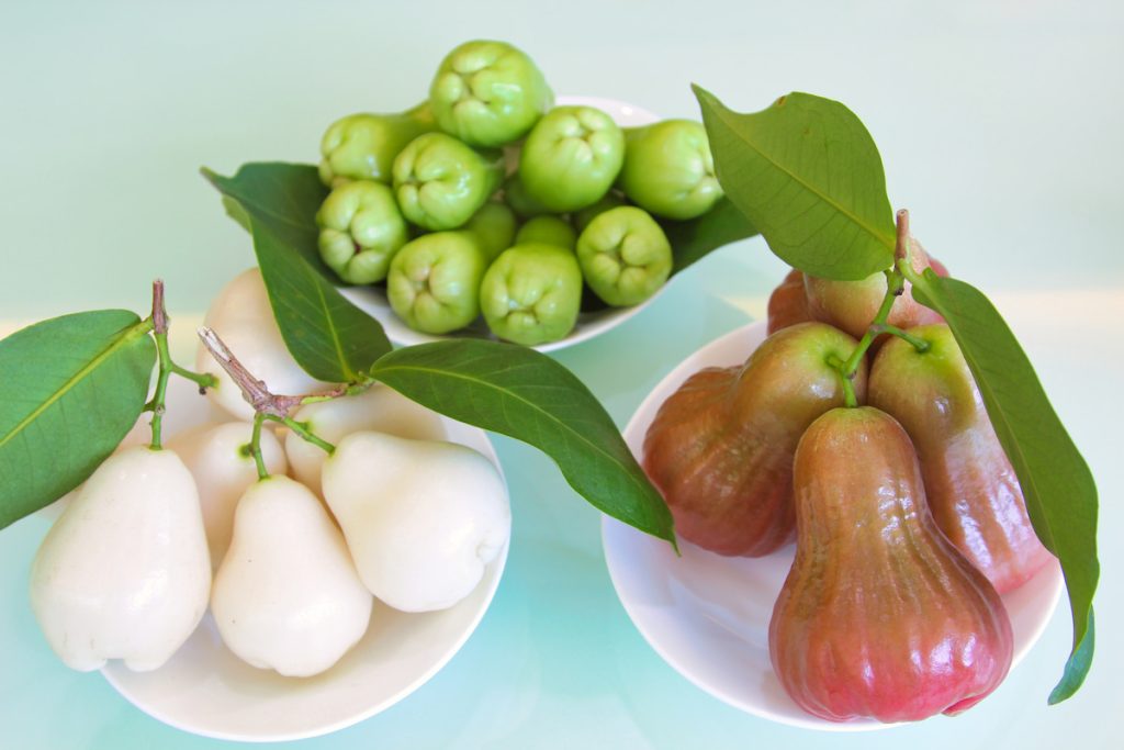 白玉蓮霧(左)、翠玉蓮霧(中)以及黑糖芭比(右)。