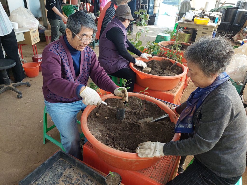 志工在地採集種子，並培育成苗期待這些樹苗數十年後能長成為一棵大樹。