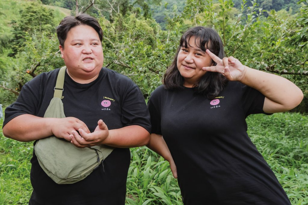 小幫手們控管砍草、施肥進度,追蹤開花、結果、預計採收時間。