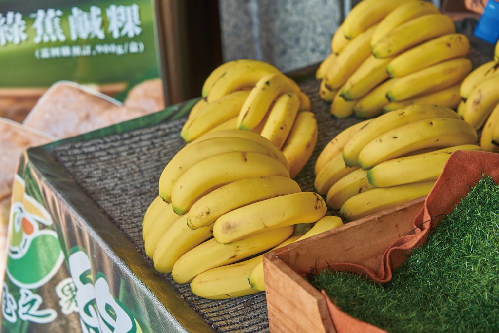 黃香蕉是林慧瑜的香蕉園主力,一年有10萬公斤的產量。