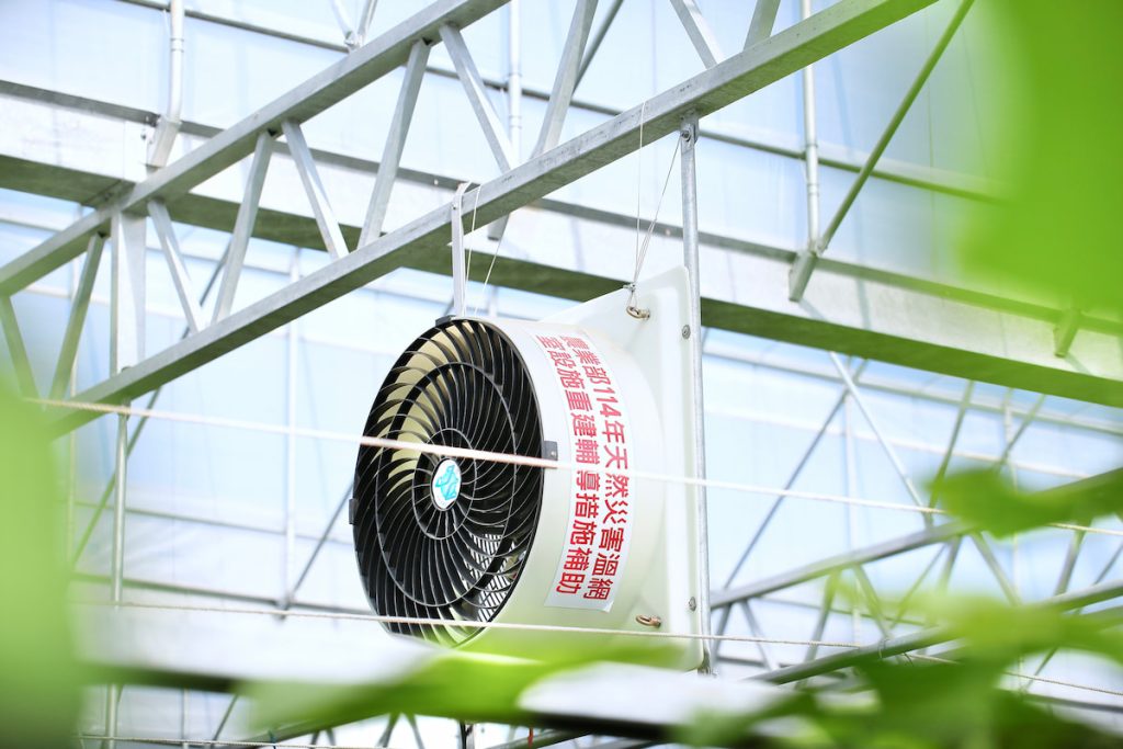 天災溫網室專案補助讓官義峰重燃務農希望。