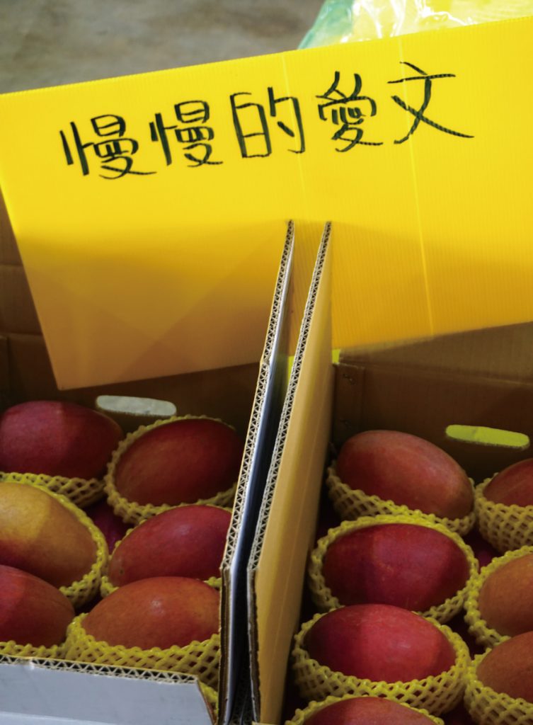 產季比愛文芒果晚一個月的「慢文」。