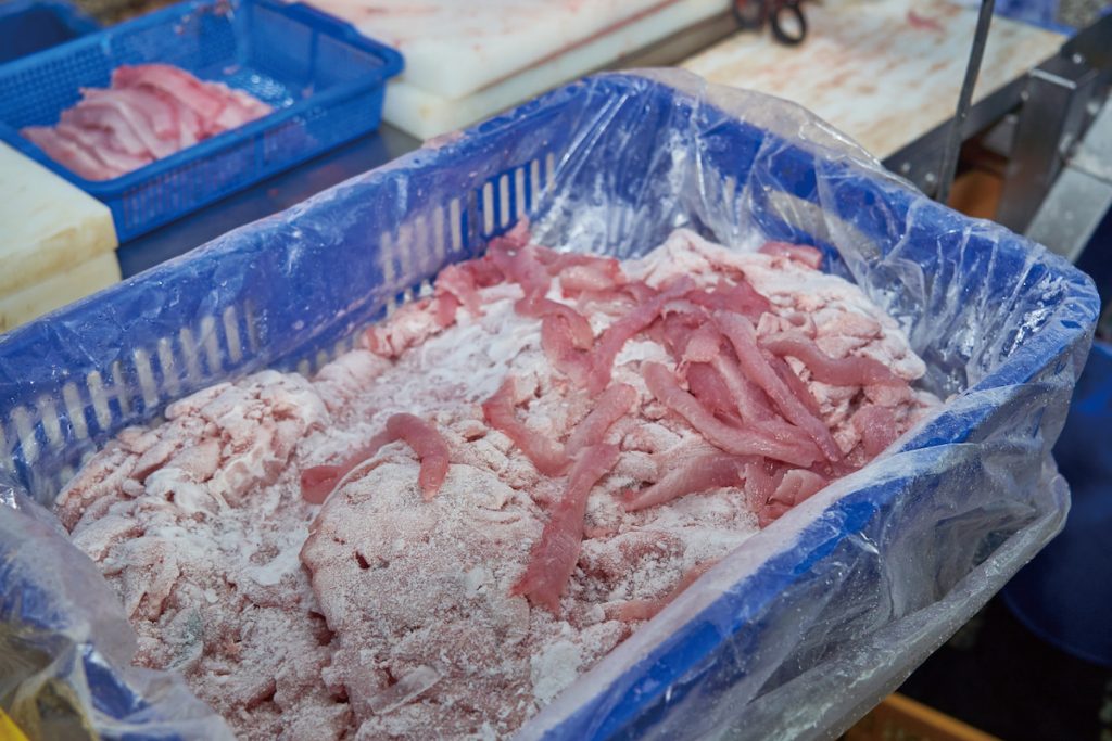 剖出虱目魚魚肚後,再分切成虱目魚柳。