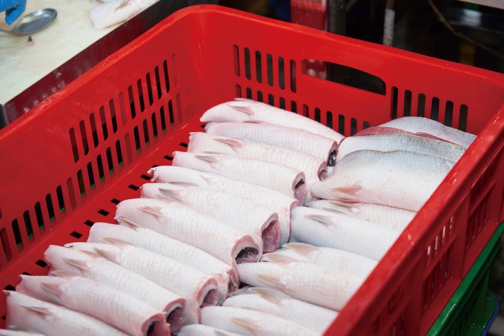 包裝前魚肚先用乾淨抹布抹去血水。