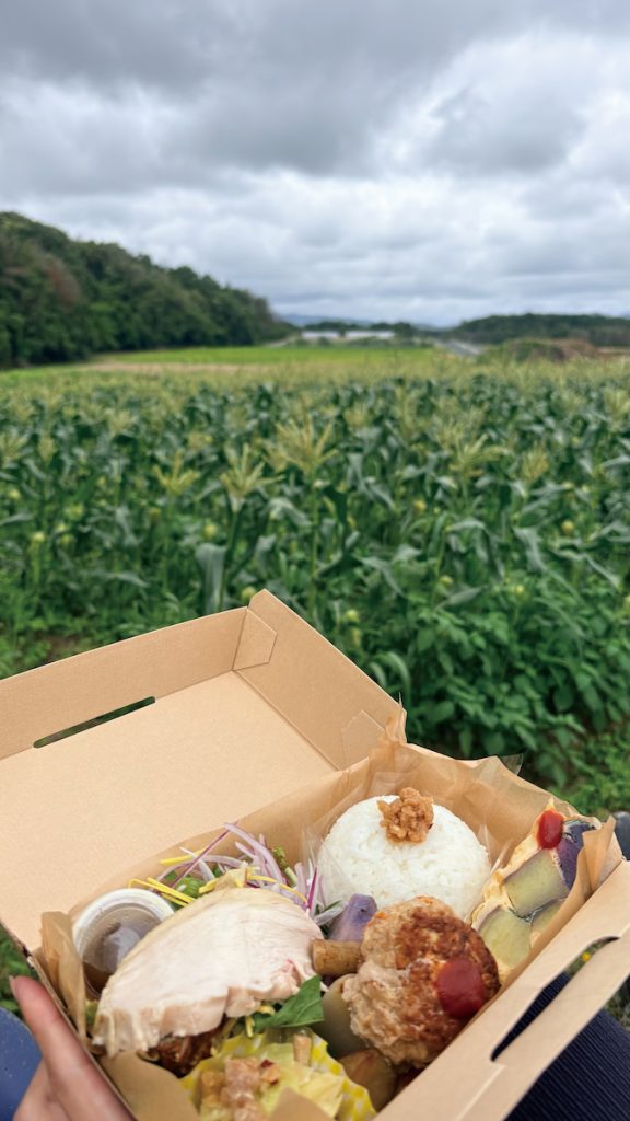 食育體驗在農田中享用午餐、午休,感受農場環境,從土壤中認識生命的連結。