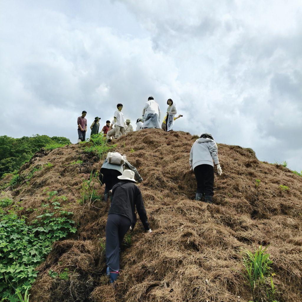 原本要清運的河岸雜草/稻殼,透過農場的堆肥技術培育成土壤。