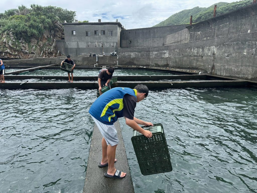 工作人員進行海膽的投放計畫。