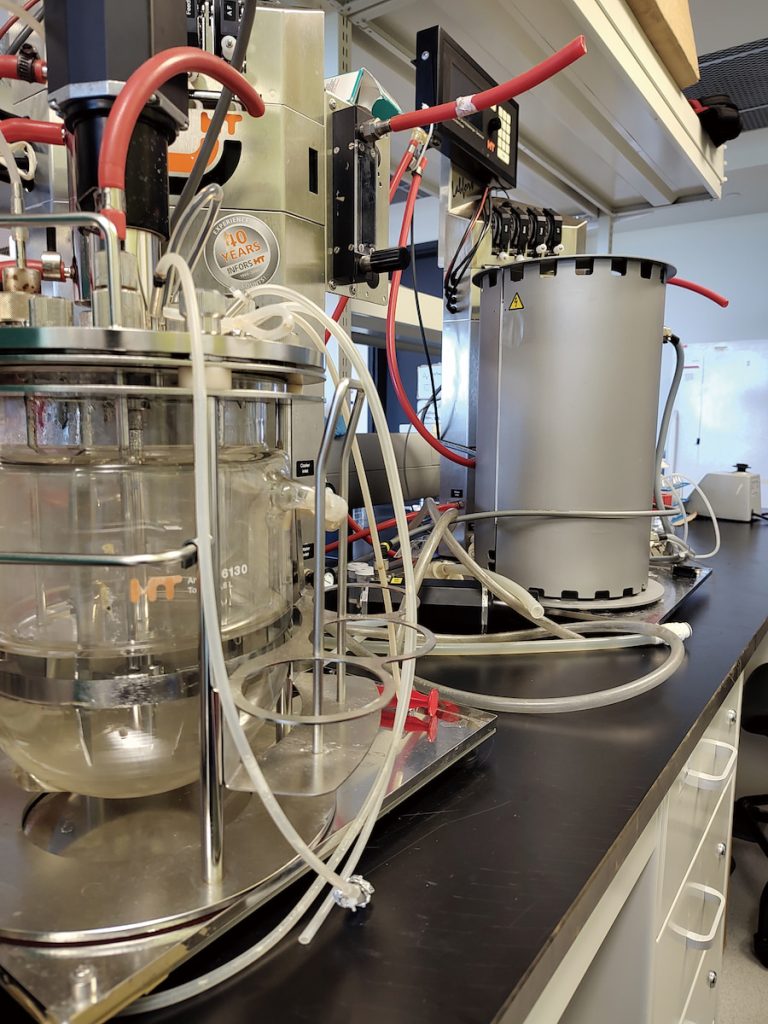 生物反應器可在封閉環境中培養基改微生物,生產胰島素、食品酵素等產品。(攝影╱Luis Fernando Flores LAB for Wikipedia CC BY-SA 4.0)