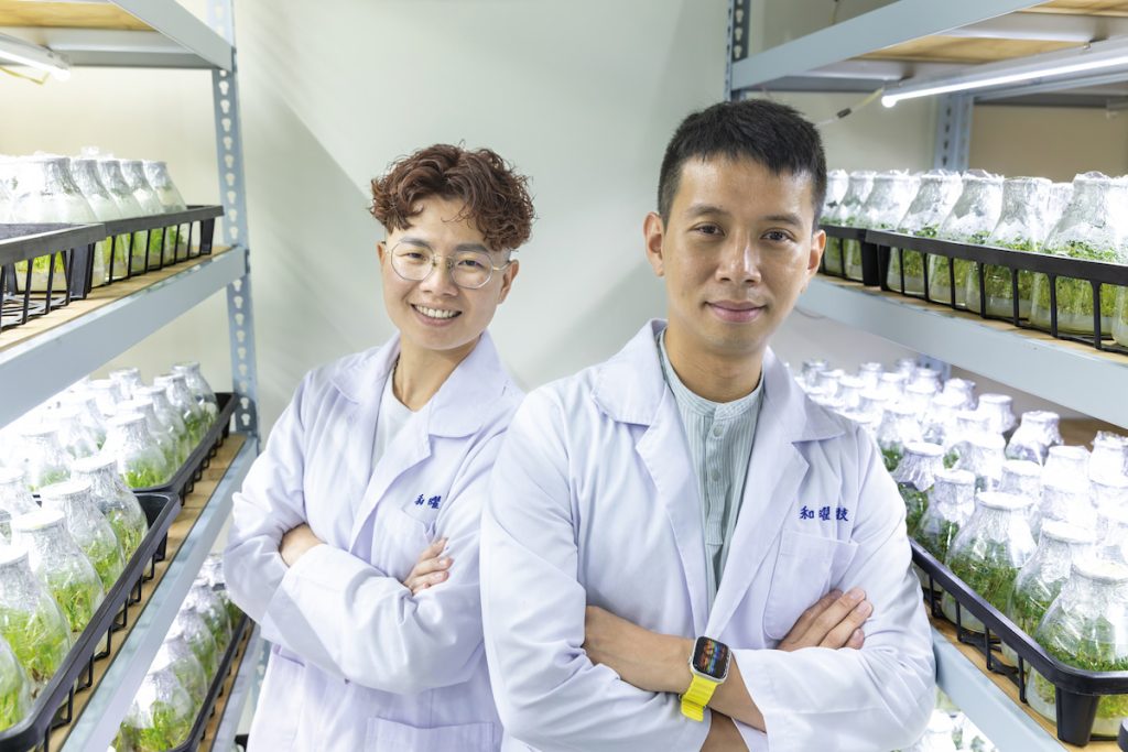 謝蕙雯與團隊以盤龍蔘建立起從種源保存、智慧栽培到加工加值的完整生產鏈。