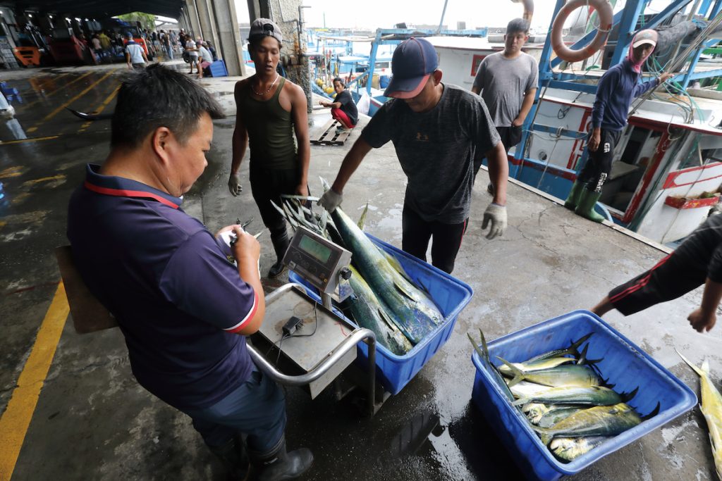 魚貨上岸即由漁會工作人員過磅記錄。