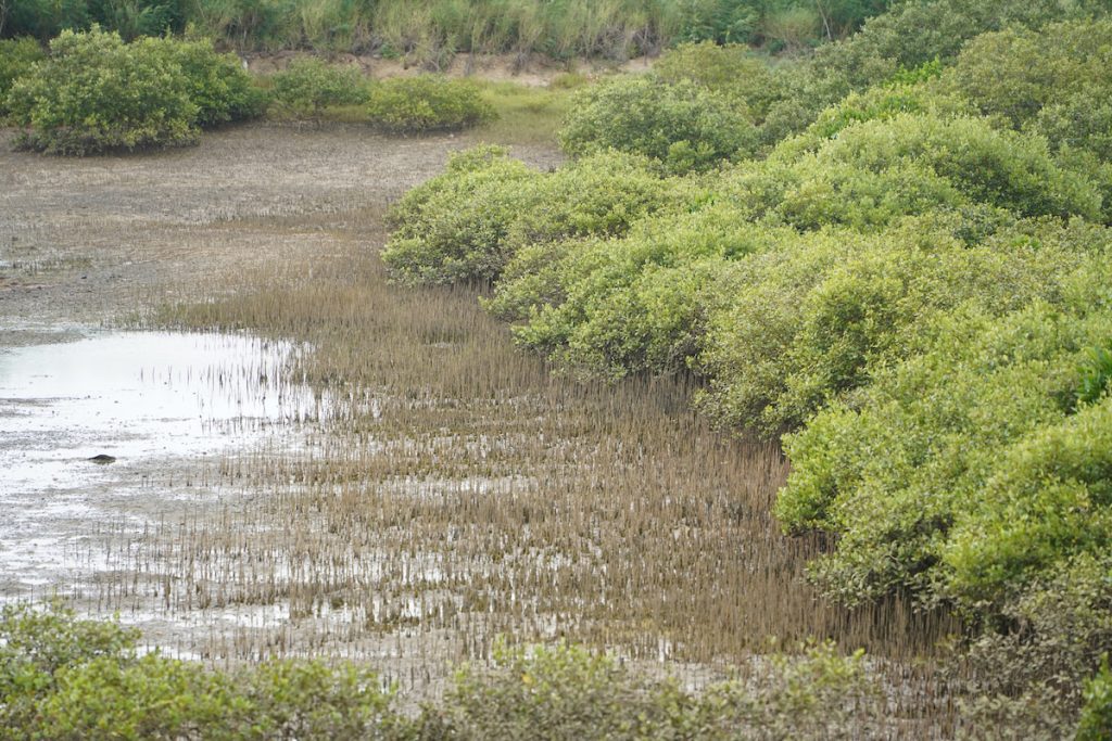 大片的濕地已被列為國家級重要濕地,可不要隨便進入破壞生態。